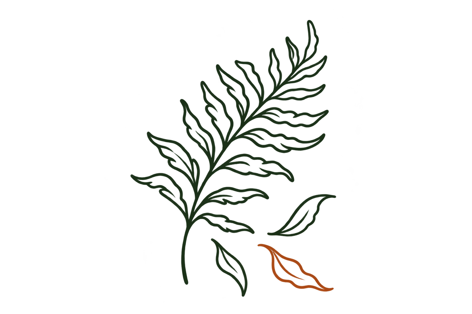 Doodle of a fern sprig